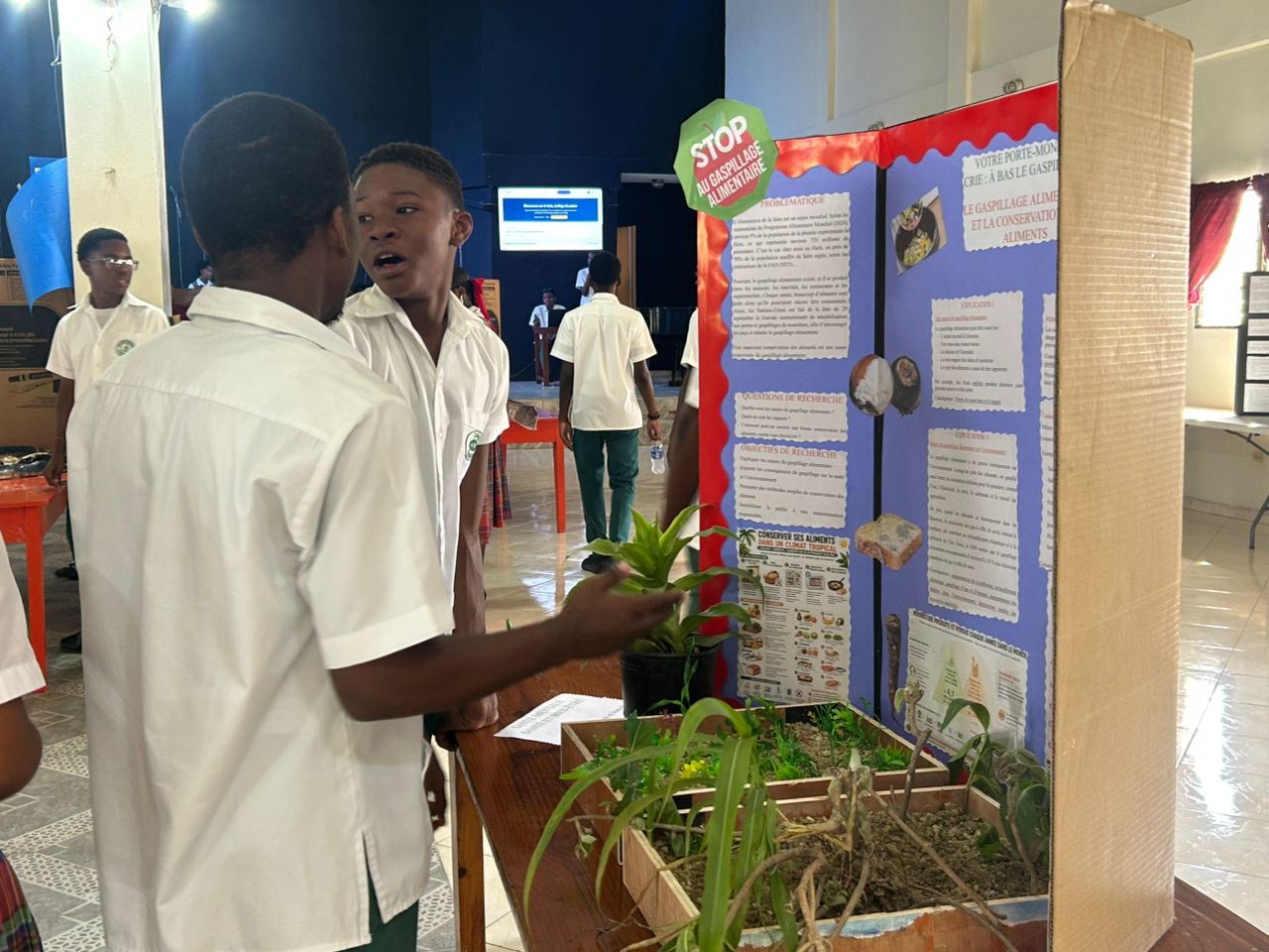 le Collège Excelsior  met en lumière l’innovation pédagogique 