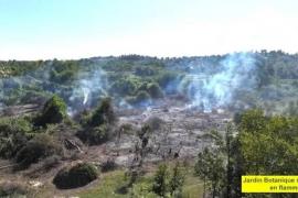 Incendie au Jardin botanique des Cayes