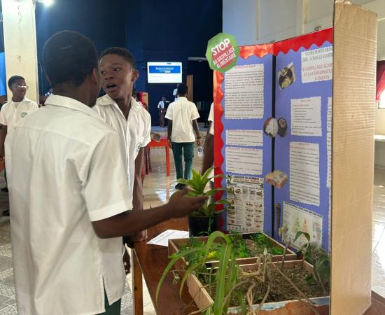 le Collège Excelsior  met en lumière l’innovation pédagogique 